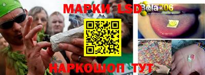мяу мяу мука Ирбит
