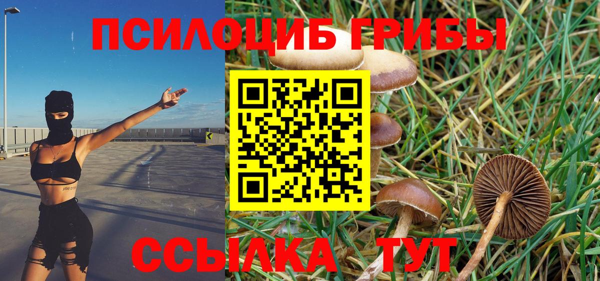 закладки  Псилоцибиновые грибы Psilocybine cubensis  Вход с VPN  Дзержинский  Галлюциногенные грибы Cubensis 